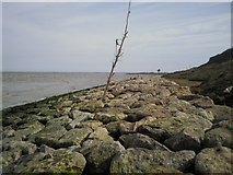 TR0271 : Sea defences near Warden Point, Isle of Sheppey by Marathon