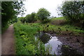 The Fairbottom Branch Canal