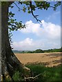 Field by the Two Moors Way