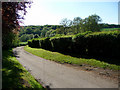 Road near Arches Hall, Standon