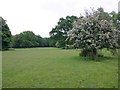 Footpath from Ashorne to Wiggerland Wood