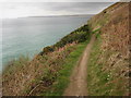 Coast path above Carbis Bay