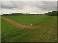 Footpath to Park Wood