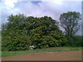 Farmland near Grimscote