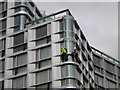 TQ2478 : Workman atop the Think Hotel, Warwick Road W14 by Robin Sones
