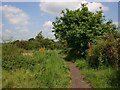 Centenary Way footpath to Ryton-on-Dunsmore