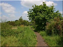 SP3874 : Centenary Way footpath to Ryton-on-Dunsmore by David P Howard