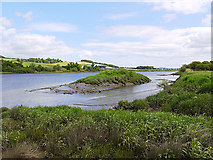 NO1621 : River Tay near Elcho by Dr Richard Murray