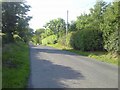 N9658 : Country Road, Co Meath by C O'Flanagan