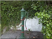 N9653 : Pump, Co Meath by C O'Flanagan