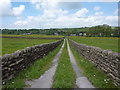 Track off Keighley Road