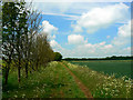 West along the bridleway south of Hinton Airfield, Charlton