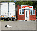 2010 : The brewery cat, Springs Brewery