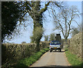 2010 : Redhill Lane near Mendip View Farm