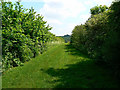 Even further down the bridleway from Clifton Road, Clifton