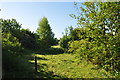 Trackbed to County School