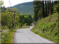 The road past Rhydyronnen