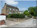 Houses at Daisy Hill, Morley