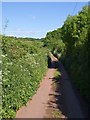 Two Moors Way near Whelmstone Barton