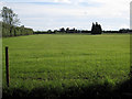 Fields, Leamington Hall Farm