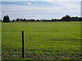 Sheds and house, Leamington Hall Farm