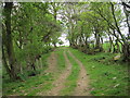 Footpath to New Garth