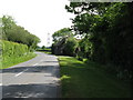 Neat grass verge at Naldretts Farm on Durban Road