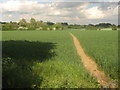 Footpath towards Mersham Church