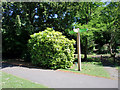 TQ2162 : Signpost for London Loop, Bourne Hall Park, West Ewell, Surrey by Christine Matthews