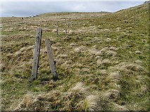 NN3532 : Old electric fence posts on Beinn Chaorach by wrobison