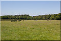 Fields north of Braggers Lane