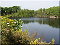 Rubislaw Quarry from East