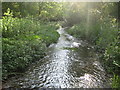 River Misbourne near Shardeloes