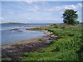 Bay of Small Isles