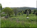 Glore Townland