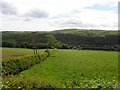 Tully Townland