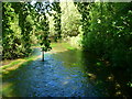 Upper Clatford - The River Anton