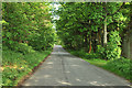 Road through Aberdona Wood