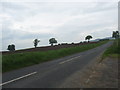 NO5334 : Road leading past Mains of Ravensby by James Denham