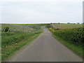 Road heading past Braehead of Lunan