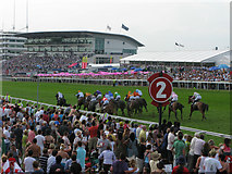 TQ2158 : The Grand Stand and Tattenham picnic area, Epsom racecourse by Nick Smith