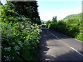 Glen Road, Craignagat