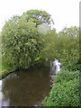 TG1508 : River Yare, Bawburgh by Geographer