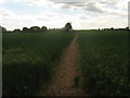 Footpath to Swanton Mill