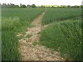 Footpath junction near Cheeseman