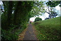 Footpath along Burniston Rd