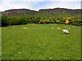 Kilmore Townland