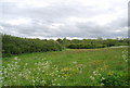 Looking towards Scalby Beck