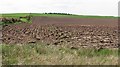 Newly ploughed field