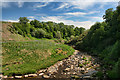 Whitrope Burn